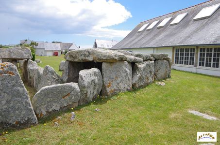 musee 5