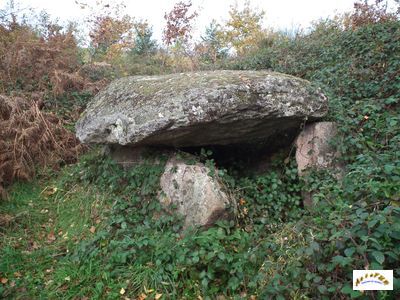 le dolmen du chardy