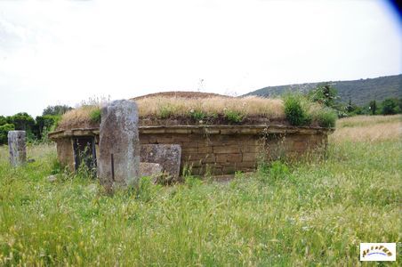 tomba flabelli 1