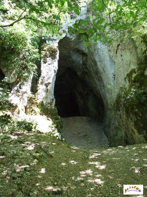 l'entrée de la grotte