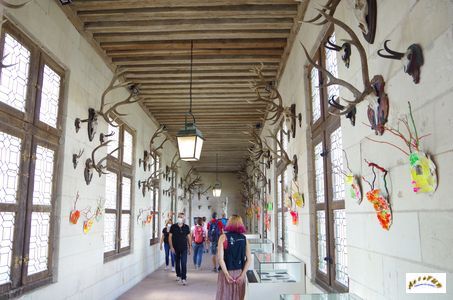 galerie
