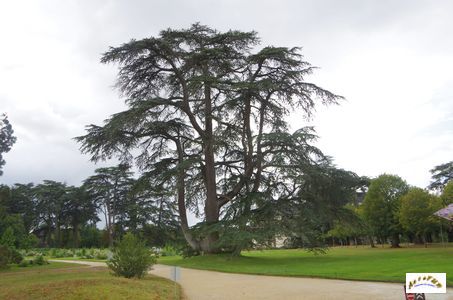 parc 9