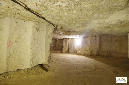 caves des roches 1