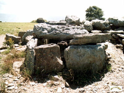 l'arriére