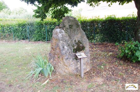 menhir 5