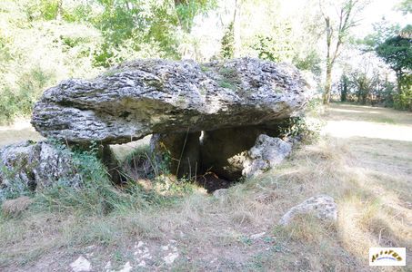 pierre trounante 15