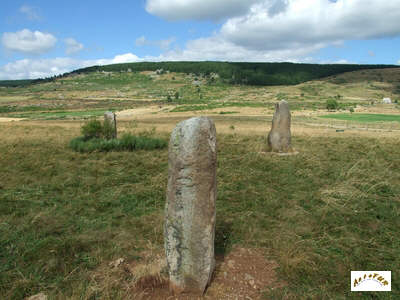 les menhirs B1 à B3