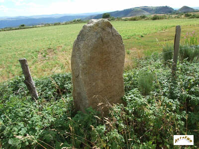 le menhir B11