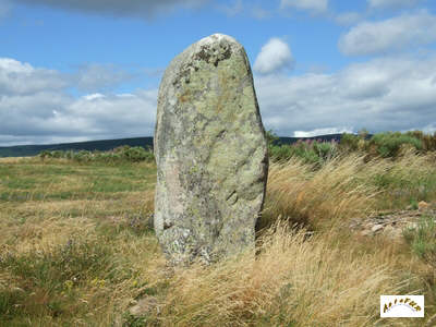 le menhir B12