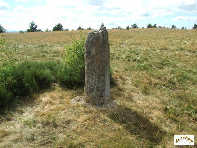 le menhir B3