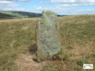 le menhir B5