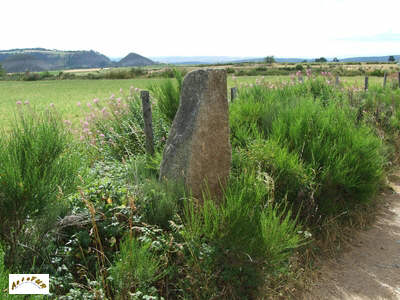 le menhir B10