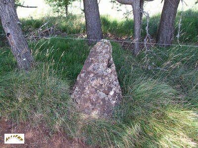 le menhir 1 de la Fage