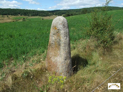 le menhir F13