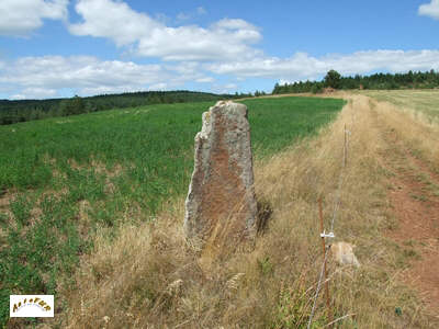 le menhir F14