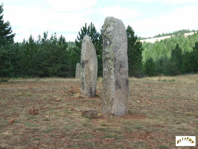 les menhirs F17 à F19