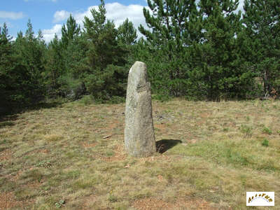 le menhir F19