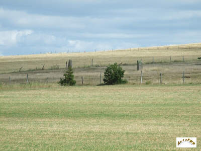 menhirs fage 26 et 27