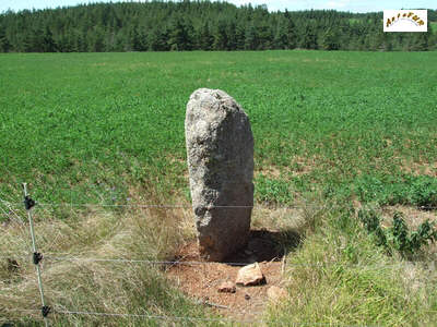 le menhir F3