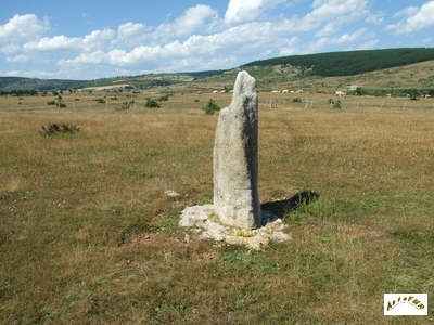 le menhir C1