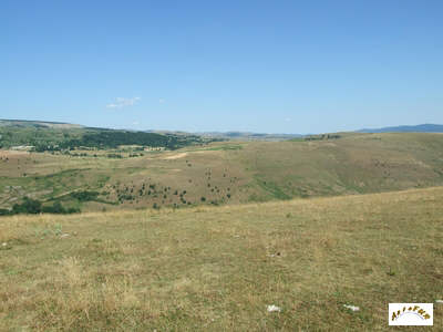 le plateau des Bondons