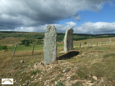 les menhirs V9 et V10