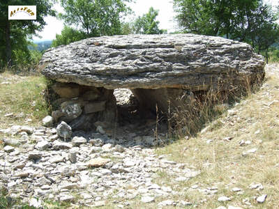 vue de près