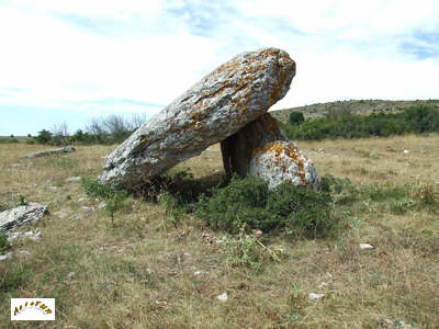 dolmen de Drigas