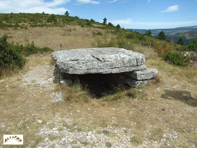 le dolmen de la Pierre Plate