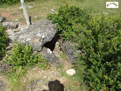 le dolmen du Puech