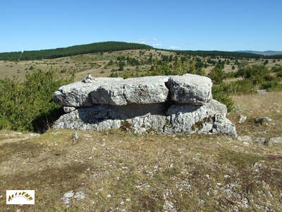 le dolmen de la Tourtro
