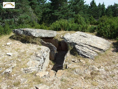 le dolmen de la Cham