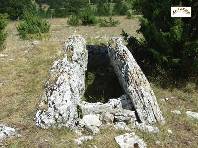 le dolmen de Freycinel