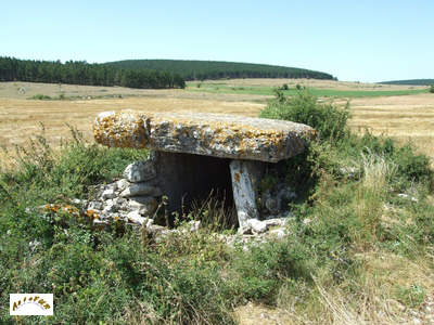 le dolmen de Peyrelevade