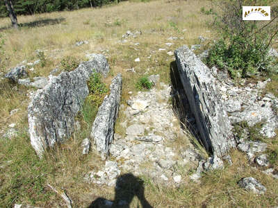 le 2ème dolmen de la rouvière