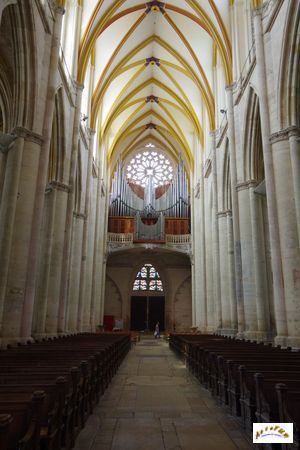cathedrale 44