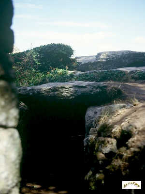 entrée du dolmen