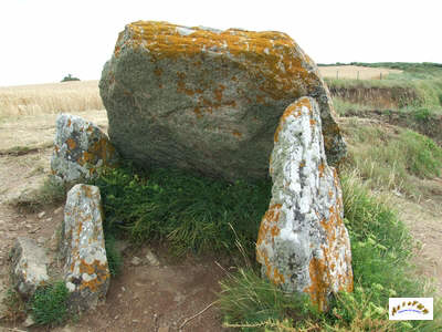 le dolmen du crapaud