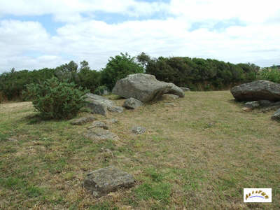 les restes du dolmen des Grays