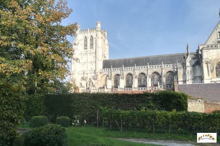 cathedrale St Omer ext W13