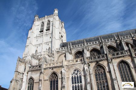 cathedrale St Omer ext W6
