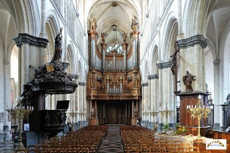 cathedrale St Omer nef W22