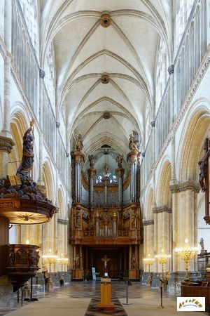 cathedrale St Omer nef W7