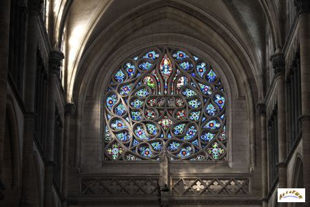 cathedrale St Omer vitraux W11
