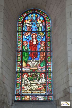 cathedrale St Omer vitraux W14