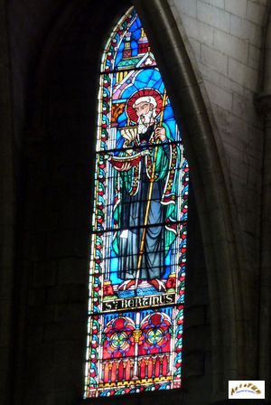 cathedrale St Omer vitraux W5