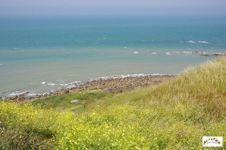 cap gris nez 2026-5