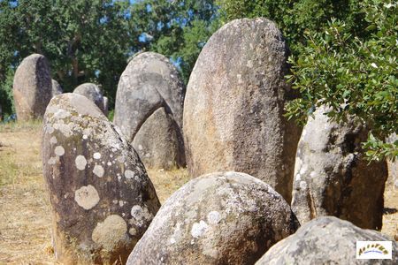cromeleque dos almendres 25