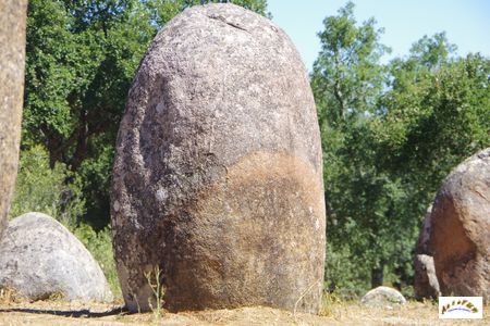 cromeleque dos almendres 41