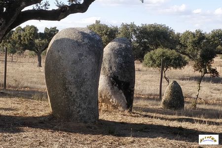 Cromeleque de Vale de Maria do Meio 7